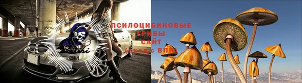 MESCALINE Абаза