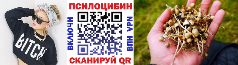 дарнет шоп Покачи дарк нет формула Псилоцибиновые грибы ЛСД